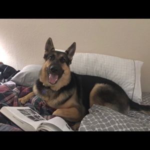 Meet your Posher, Ana